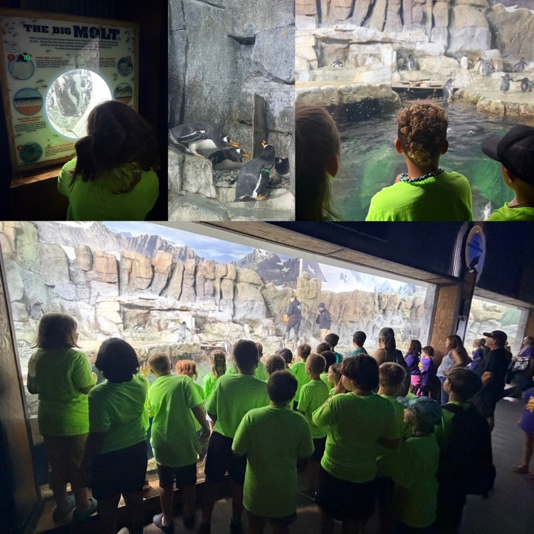 summer camp students during the field trip at Living Planet Aquarium