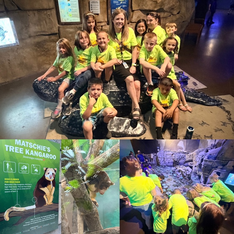 summer camp students during the field trip at Living Planet Aquarium