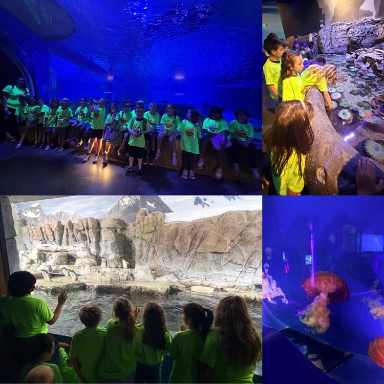 summer camp students during the field trip at Living Planet Aquarium