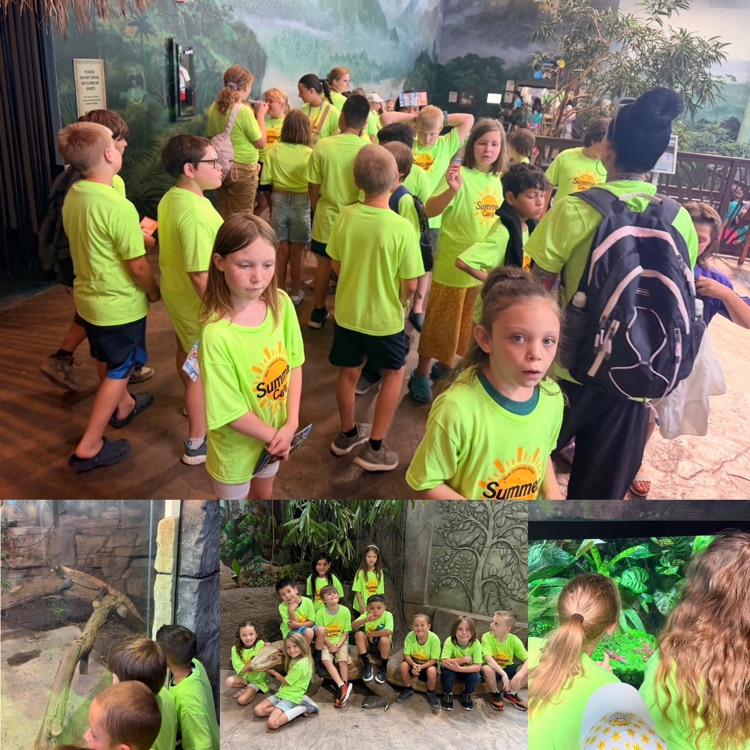 summer camp students during the field trip at Living Planet Aquarium