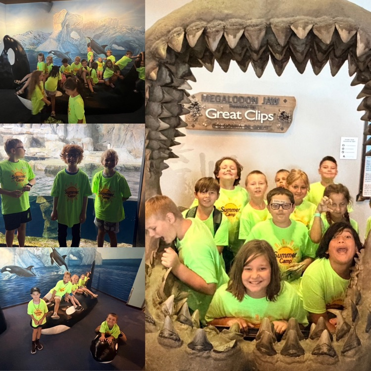 summer camp students during the field trip at Living Planet Aquarium