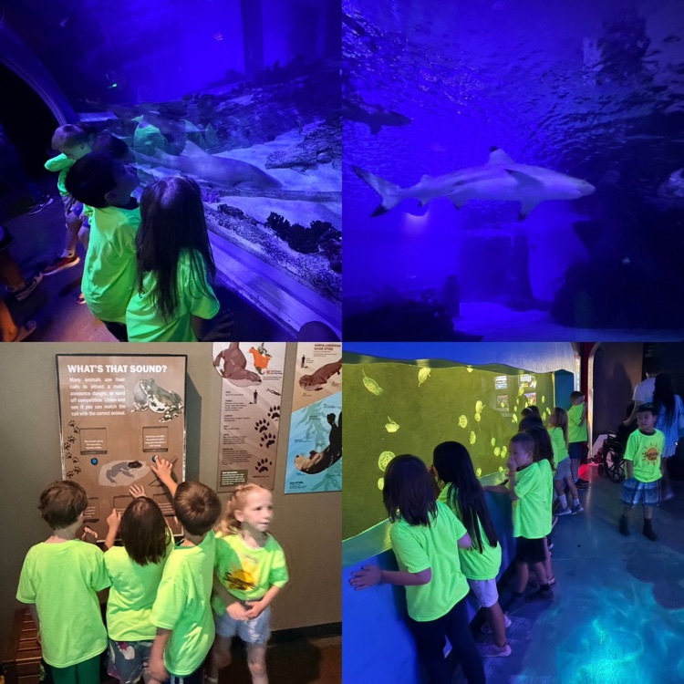 summer camp students during the field trip at Living Planet Aquarium