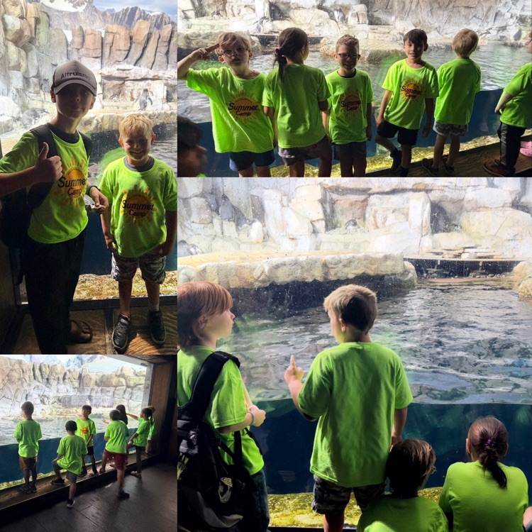 summer camp students during the field trip at Living Planet Aquarium