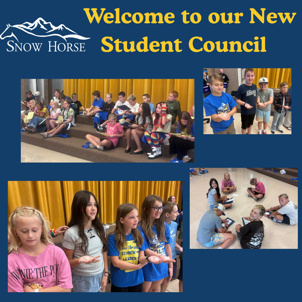 New Student Council Members