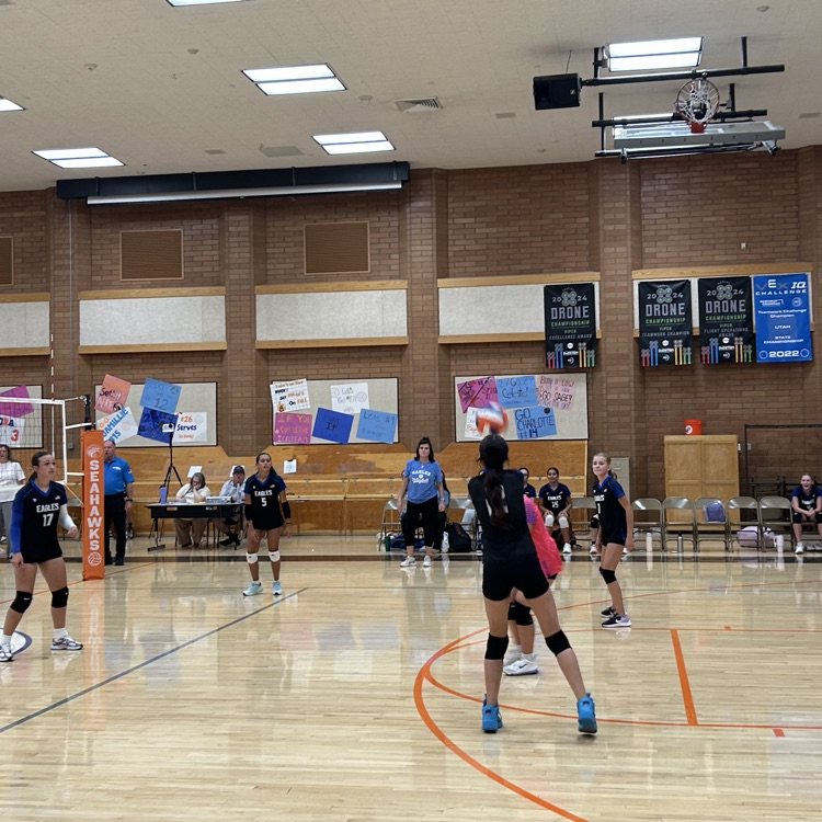 volleyball players 