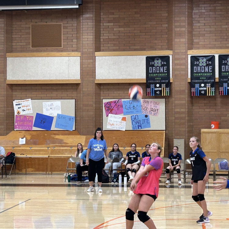 volleyball players
