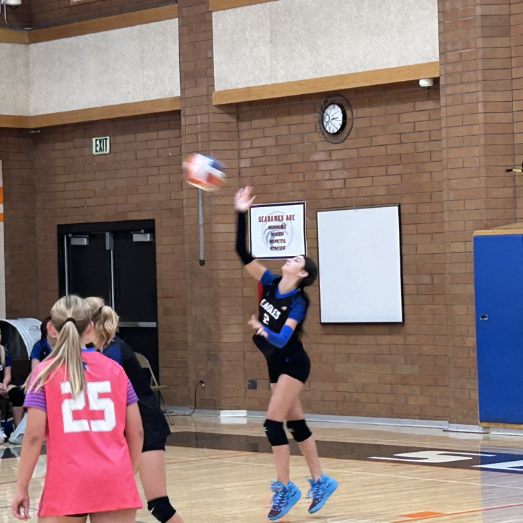 volleyball serve