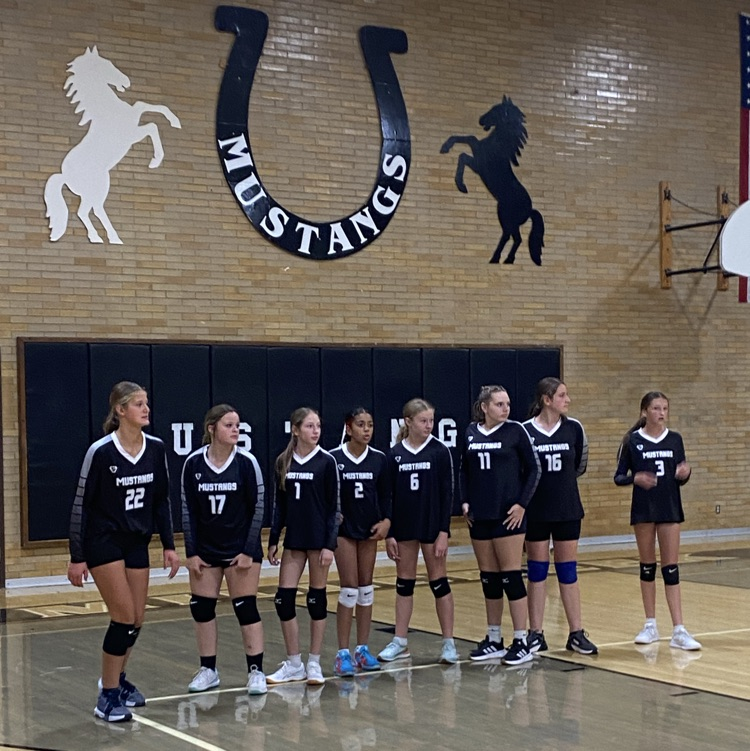 Girls lined up for volleyball