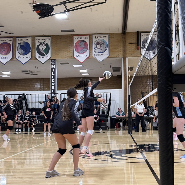 volleyball in play