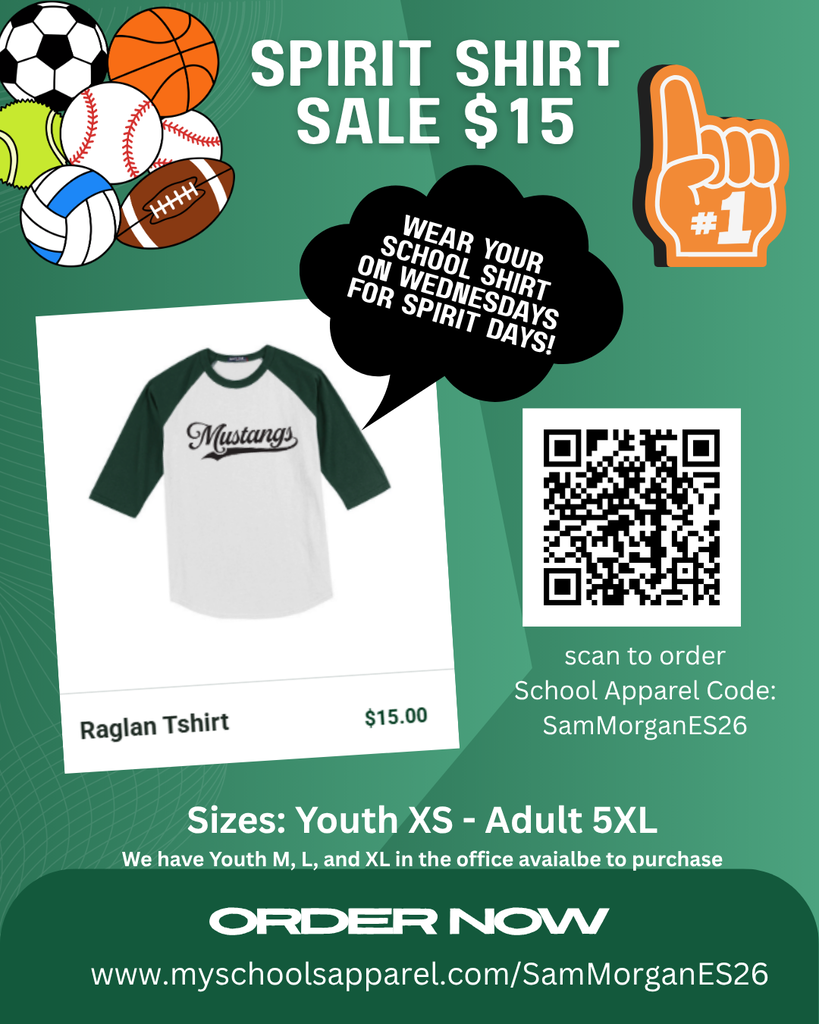 School Spirit Shirt sale $15 order now