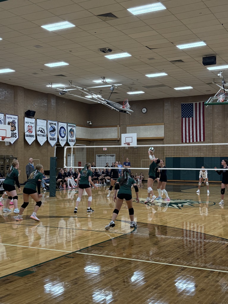 Setting up the spike at the volleyball game. 