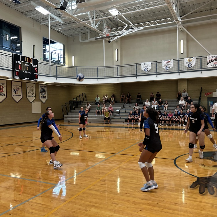 volleyball