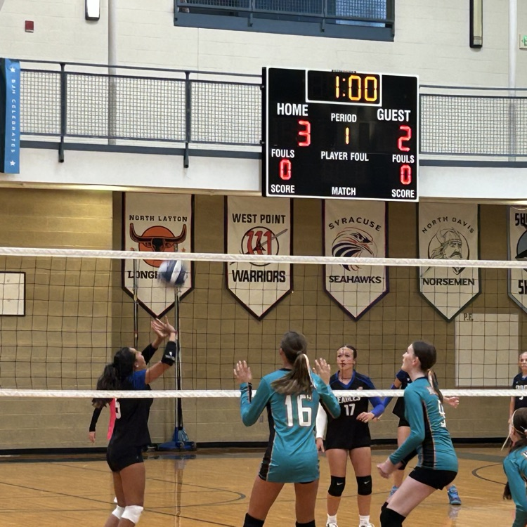 volleyball