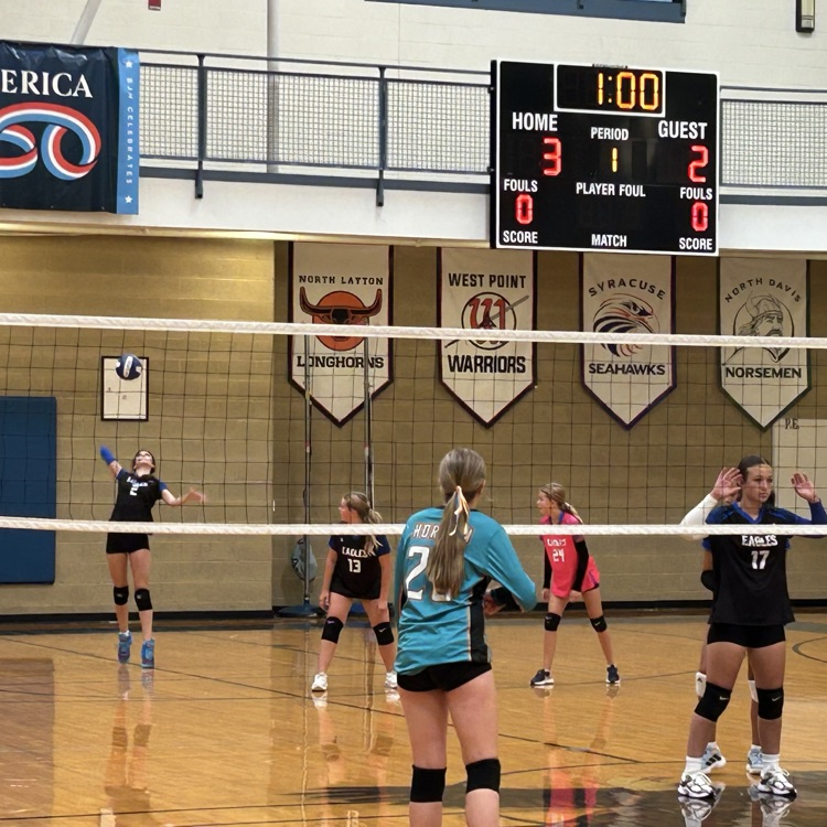 volleyball