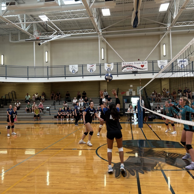 volleybal
