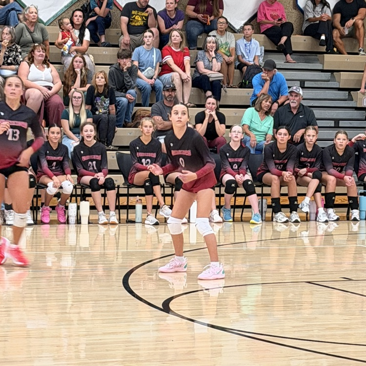 Action shot 