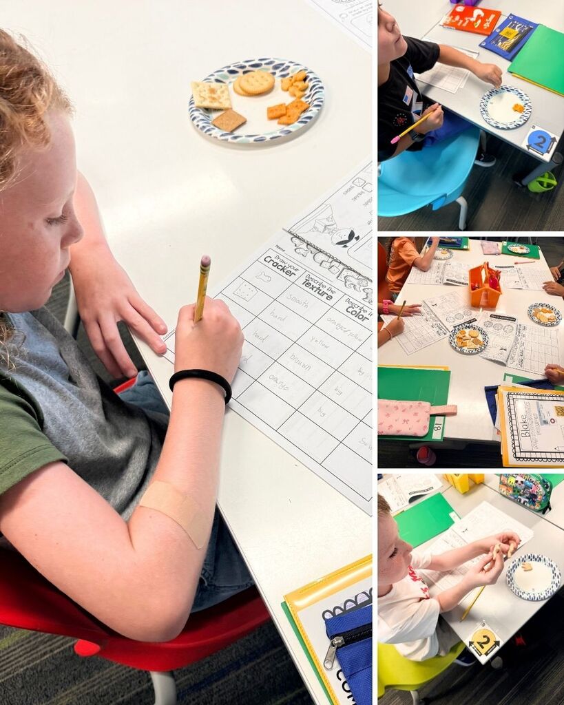 A classroom collage showing students completing a cracker observation activity. Students examine and taste different crackers while recording details about their texture, color, size, and other characteristics on worksheets.