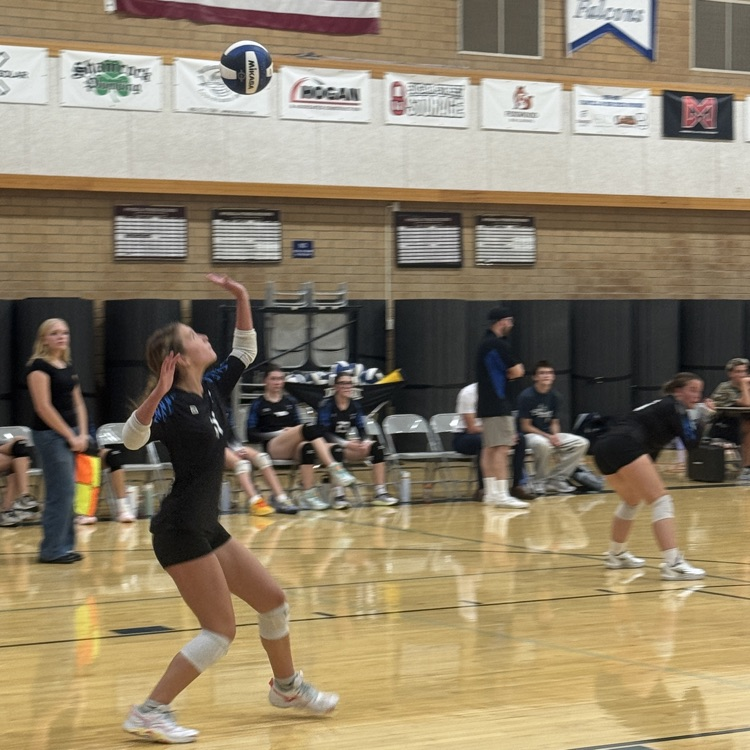volleyball player