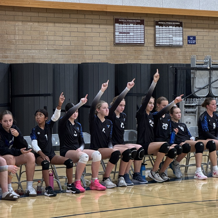 Volleyball players cheering
