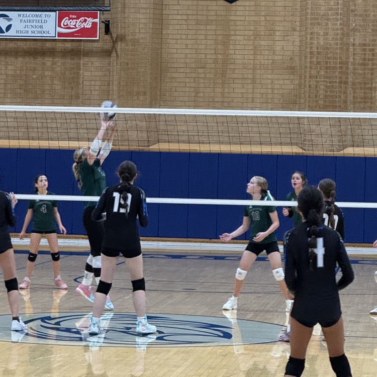 volleyball players