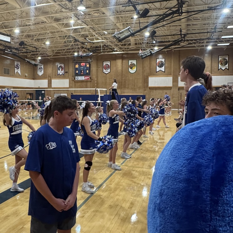 Volleyball fans and cheerleaders 