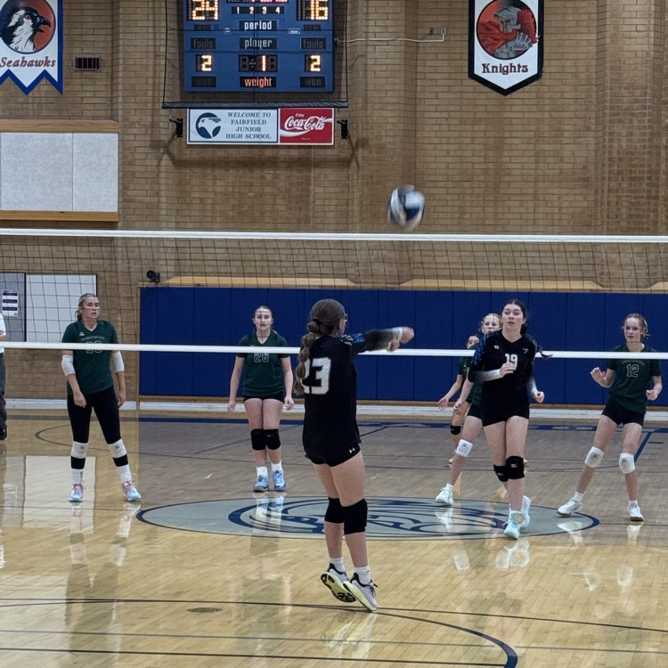 volleyball players