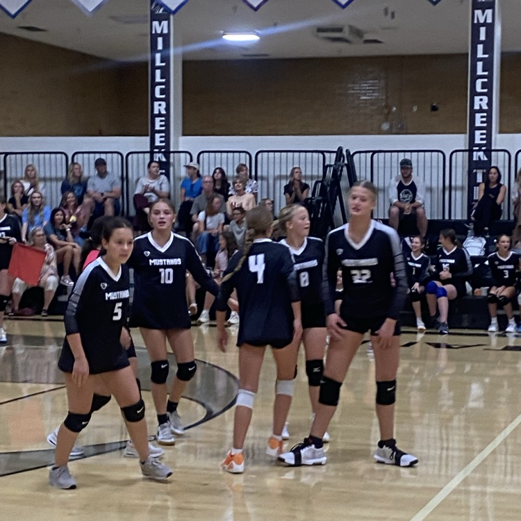 girls volleyball players celebrating