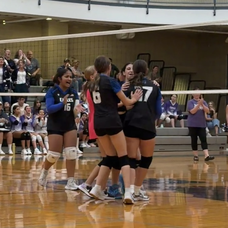 volleyball team