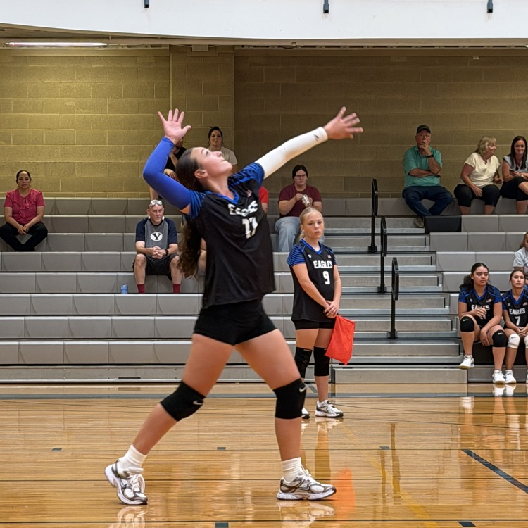 volleyball serve
