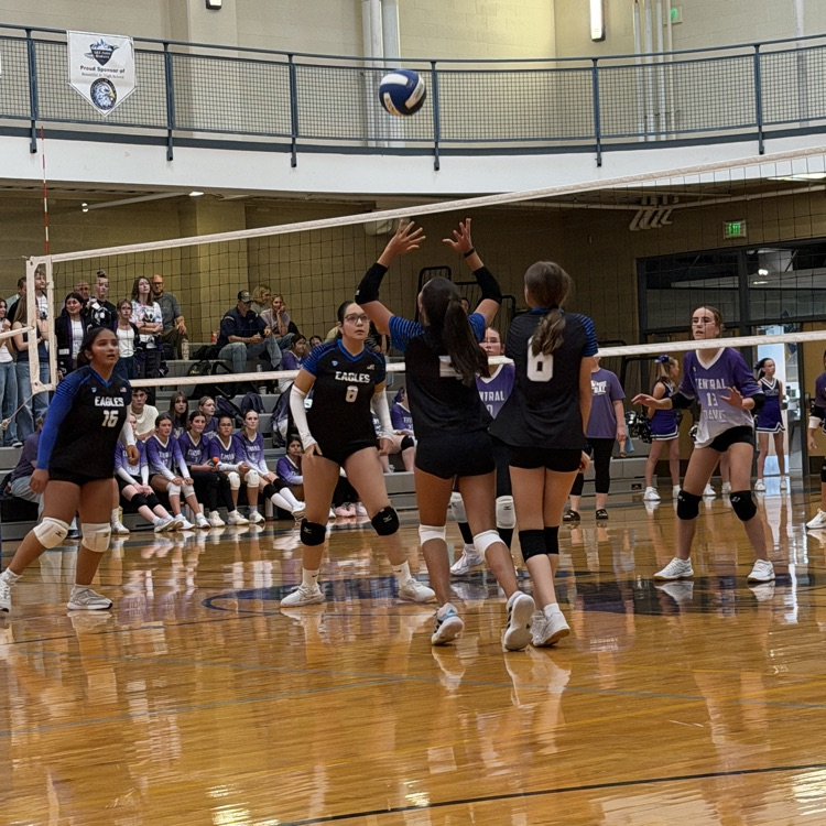 volleyball set