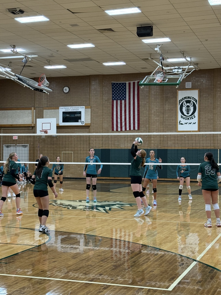 Athlete setting the volleyball. 