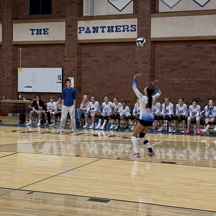 students playing volleyball