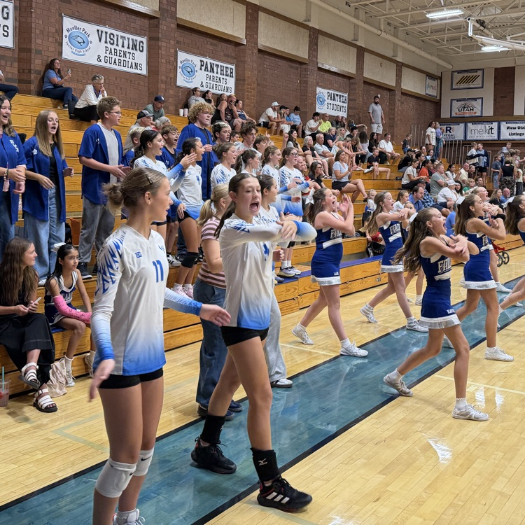 crowd cheering 