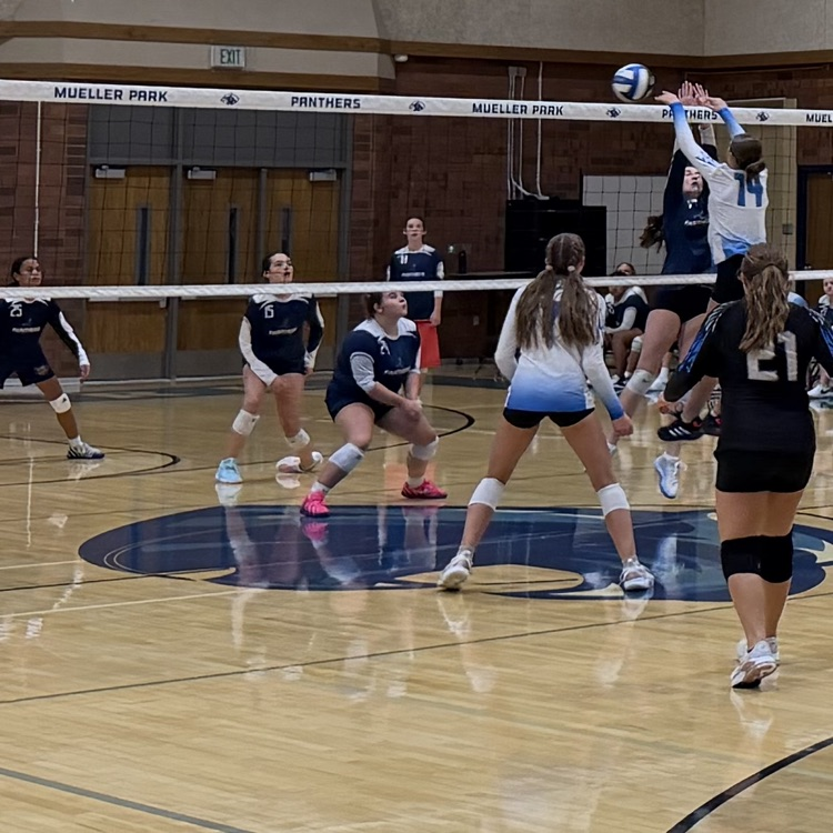 students playing volleyball 