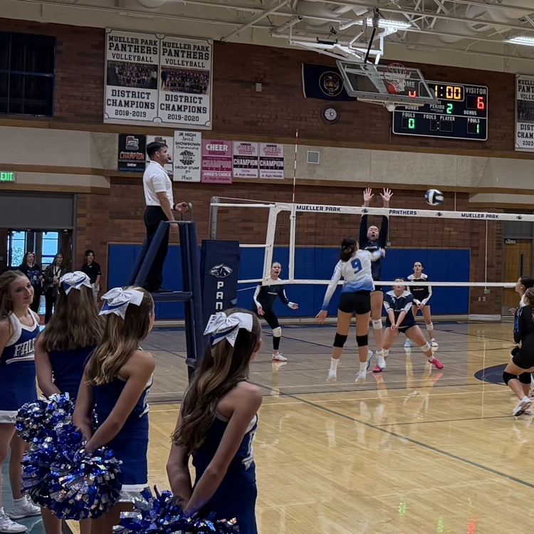students playing volleyball 