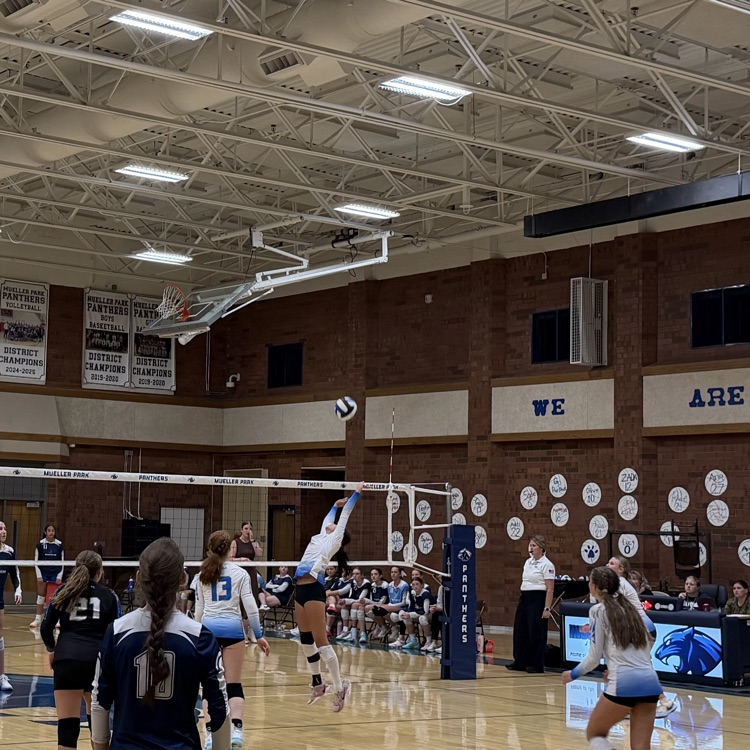 students playing volleyball 