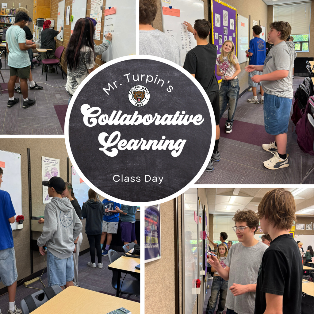 Collaborative Learning Day in Mr Turpin's class