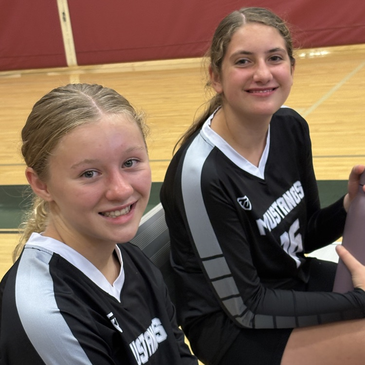 girl volleyball players
