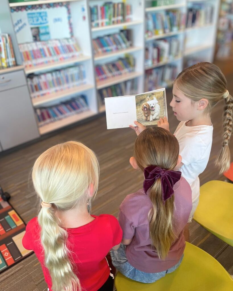 Students sit together in the school library reading and choosing books.