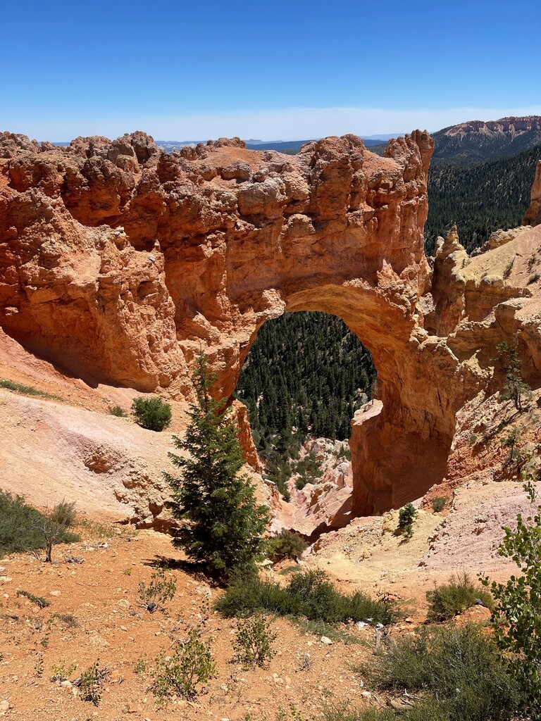 Picture at Arches National Park