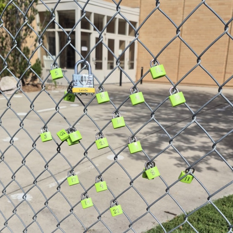 kindergarten locks from Mrs. NeVille’s class all hanging proudly on the fence 
