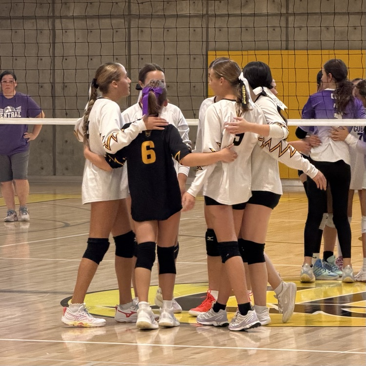 Volleyball team