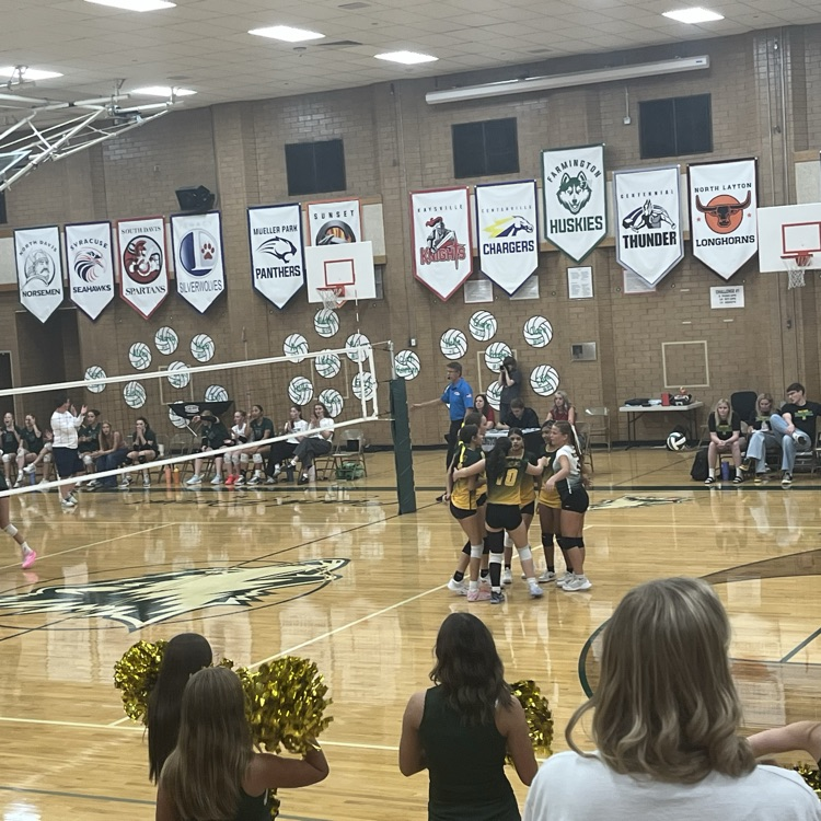 volleyball 