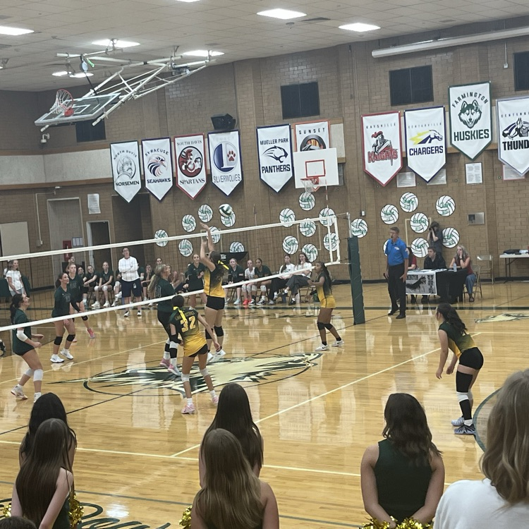 volleyball