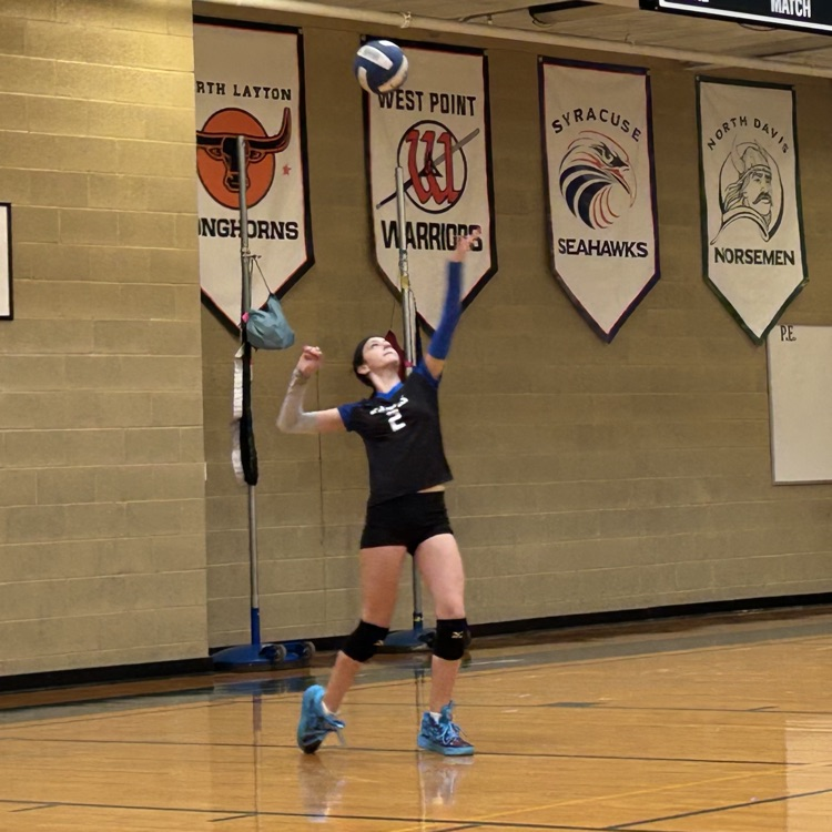 volleyball serve