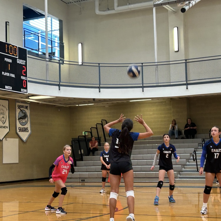 volleyball