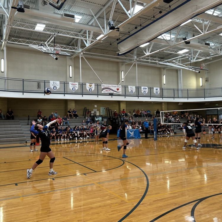 volleyball