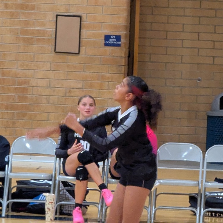 volleyball player 
