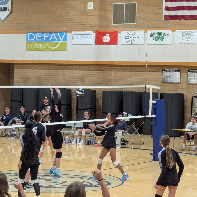 volleyball players