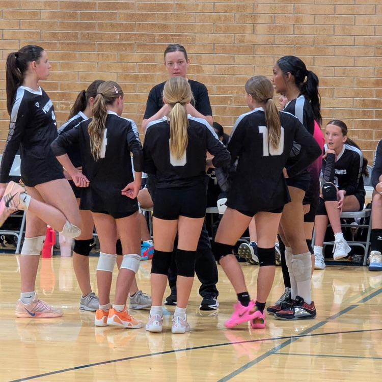 volleyball team